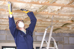 Insulation Ceiling